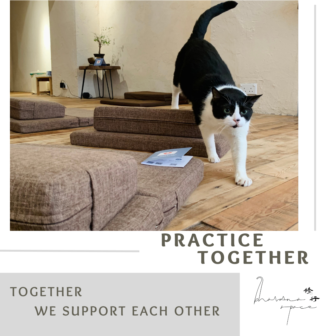 Mindfulness Practice 靜修活動