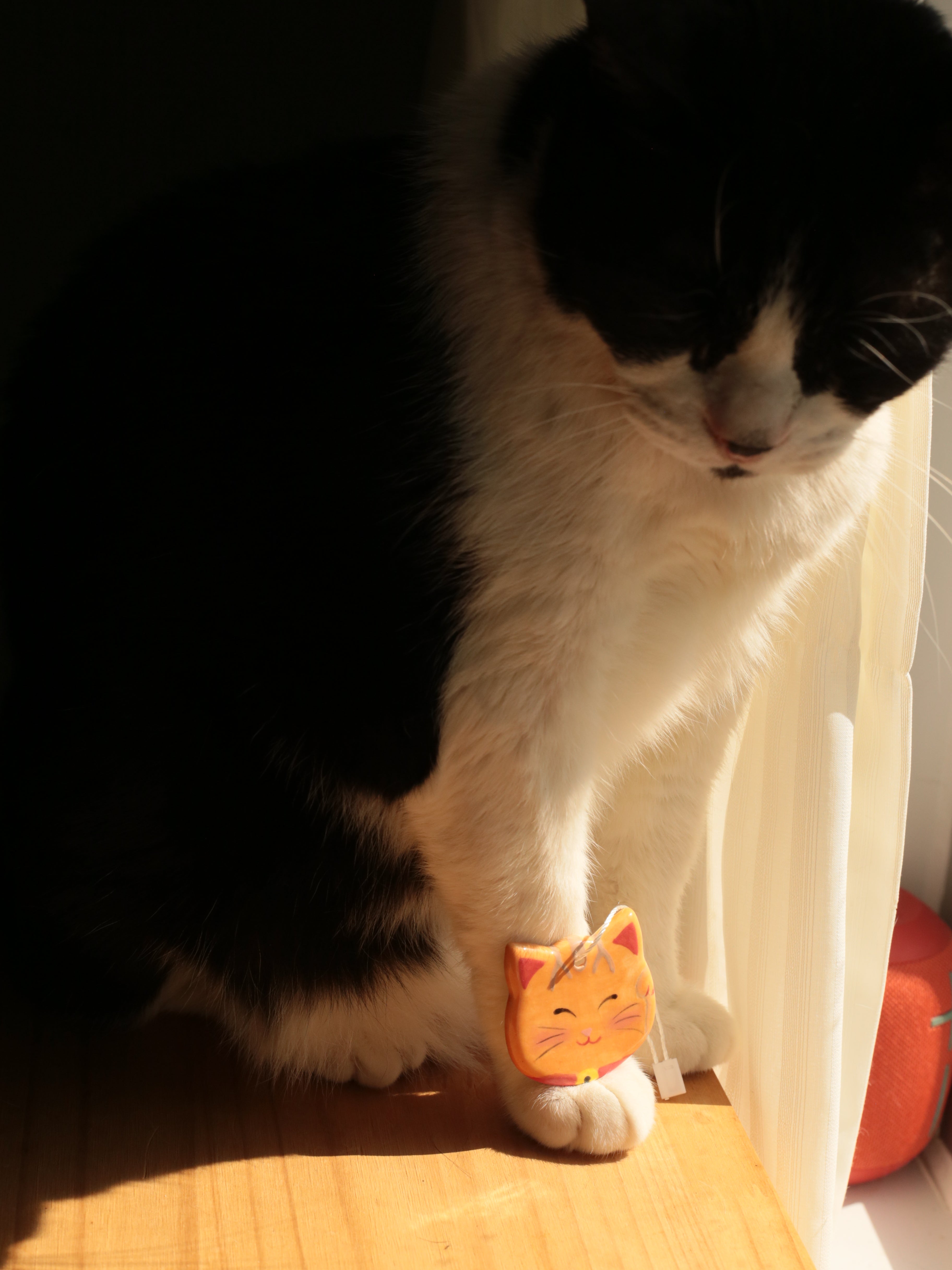 大澳招福小猫吊飾 Tai O Fortunate Cat Ornament